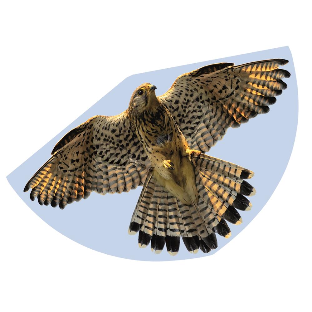 Cerf-volant pour enfants Günther Falcon (3) 92 cm d'envergure