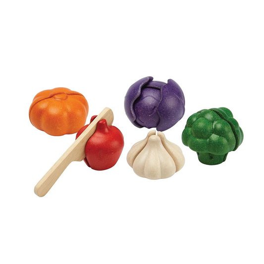 PlanToys 5-color vegetable set