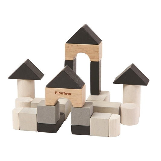 Mini blocs de construction PlanToys dans la boîte (3)