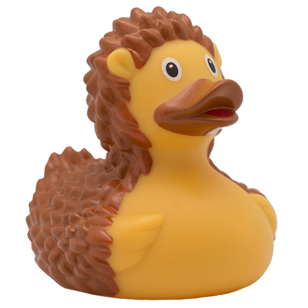 Sombo rubber duck hedgehog