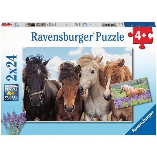 Amour de cheval de Ravensburg