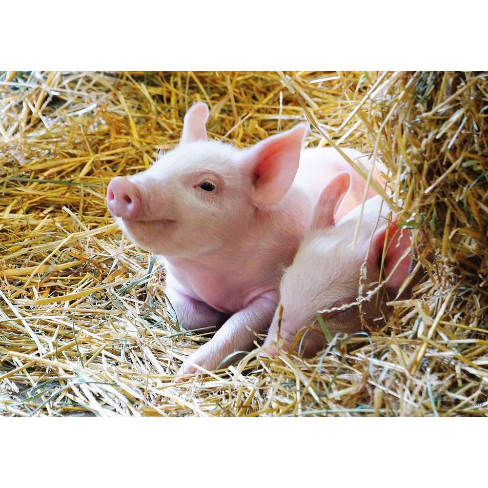 Ravensburger Unsere Bauernhoftiere