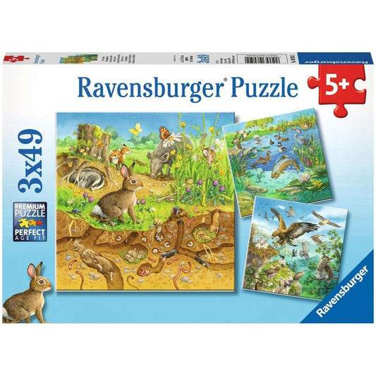 Animaux de Ravensbourg dans leurs habitats