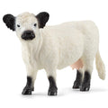 Schleich Galloway Rind – Produktbild 1