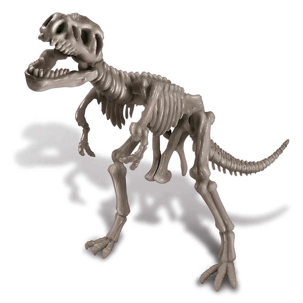 4m Dino Ausgrabungsset - Tyrannosaurus Rex