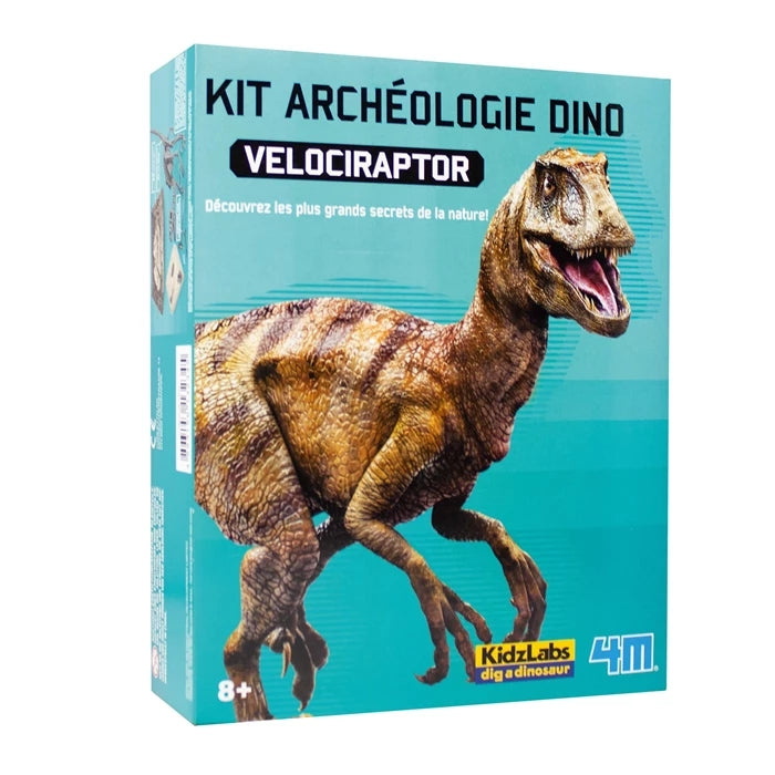 4m Dino Excavation Set - Velociraptor