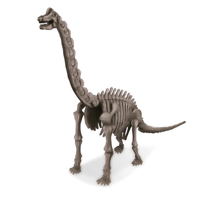 4m Dino Excavation Set - Brachiosaurus