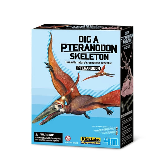 4m Dino Excavation Set - Pteranodon