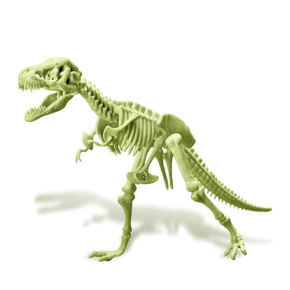 Leuchtendes T-Rex Skelett