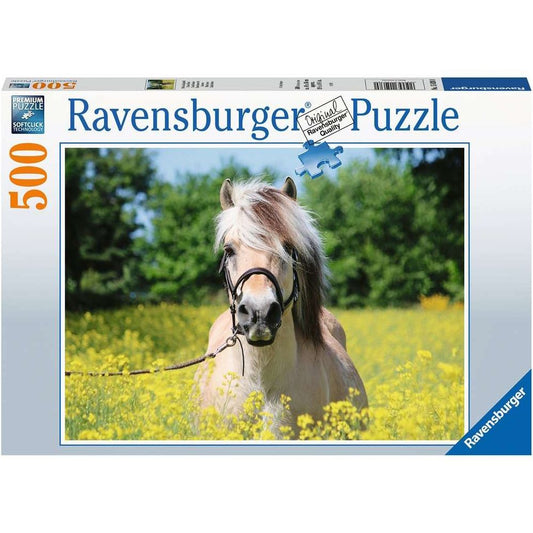 Ravensburger horse in the rapeseed field