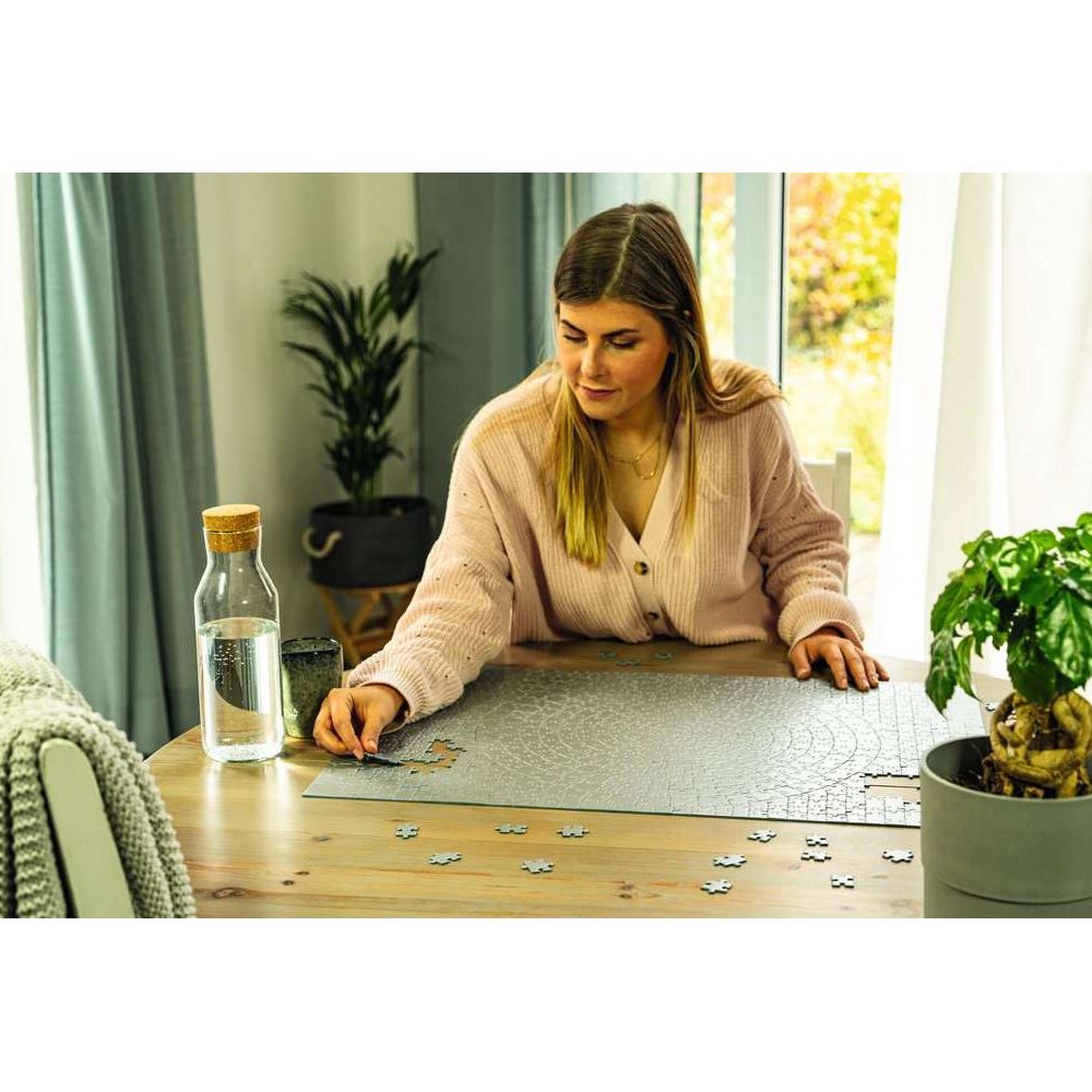 Ravensburger Krypt silber