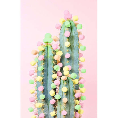 Ravensburger Cactus