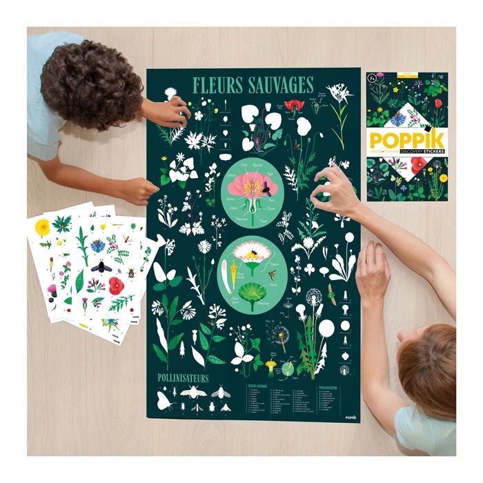 Poppik Sticker Learning Poster Botany