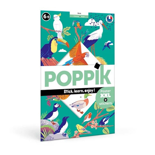 Autocollant Poppik poster d'apprentissage oiseaux