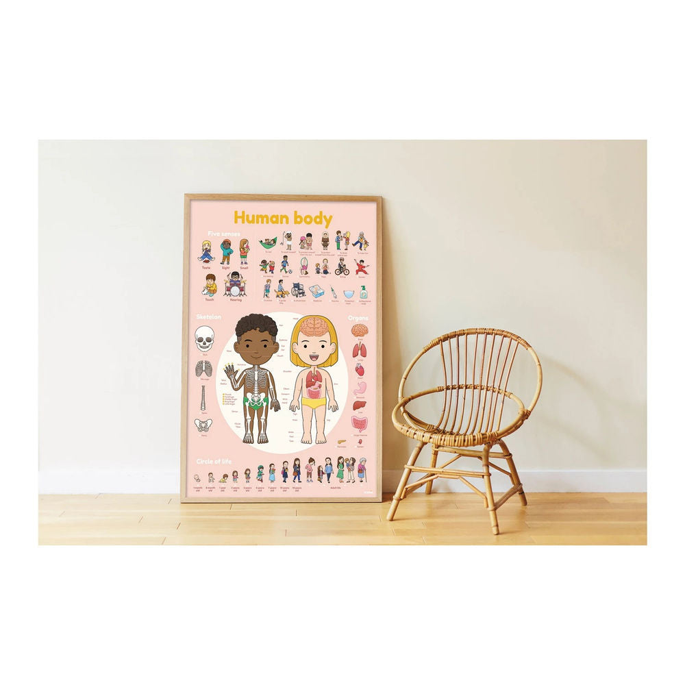Sticker Lernposter Menschlicher Körper