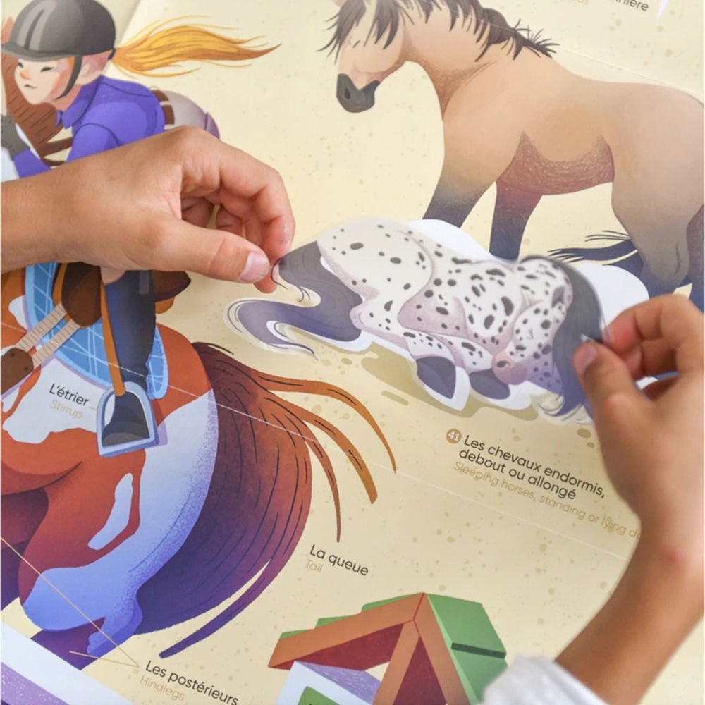 Sticker Lernposter Pferde