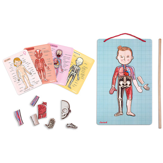 Janod Magnetic Body, 99 pieces