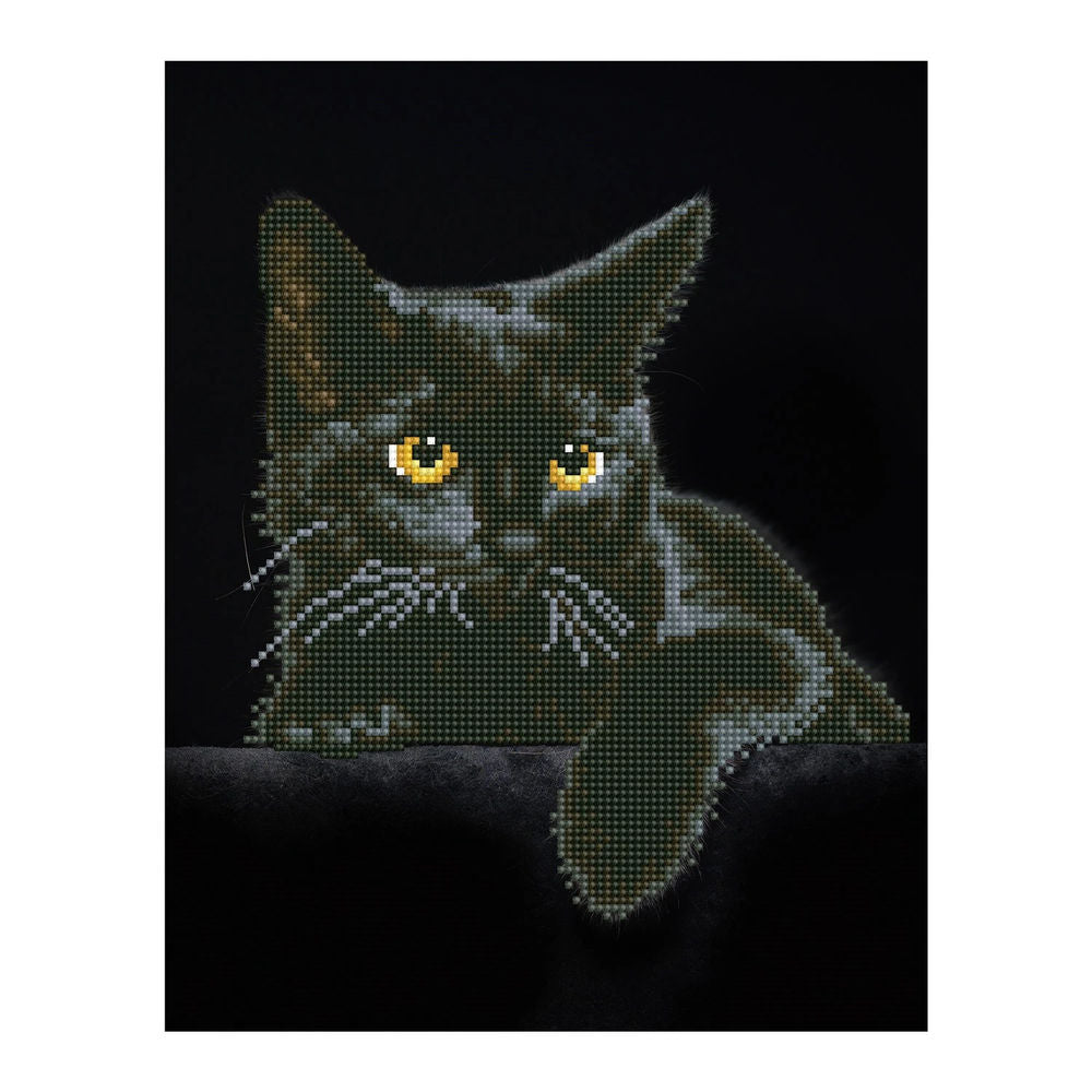 Diamond Painting Schwarze Katze