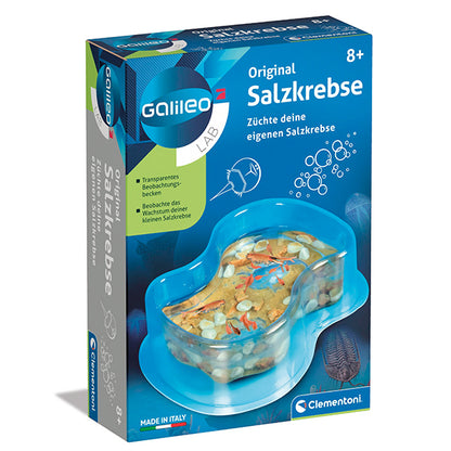 Clementoni Galileo Salzkrebse Bausatz