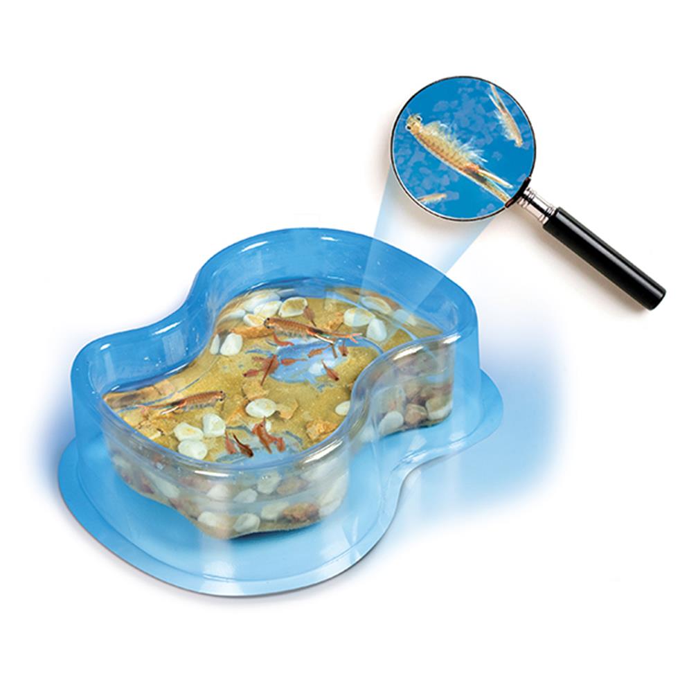 Clementoni Galileo Salzkrebse Bausatz – Produktbild 2