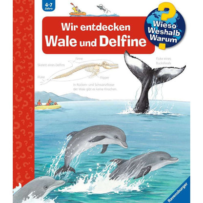 Ravensburger Why? What? Why?, Volume 41: We discover whales and dolphins