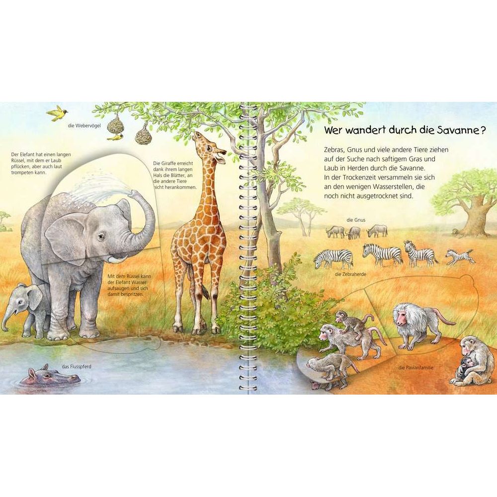 Ravensburger Why? How? What for? My junior encyclopedia: Animals