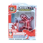 Joker Dissect-it Salamander