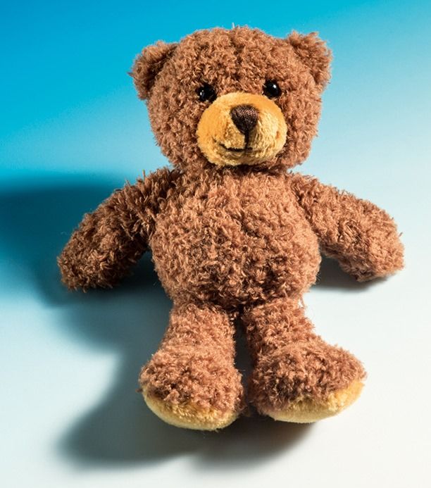 Schaffer-Magnetics Teddy Tom