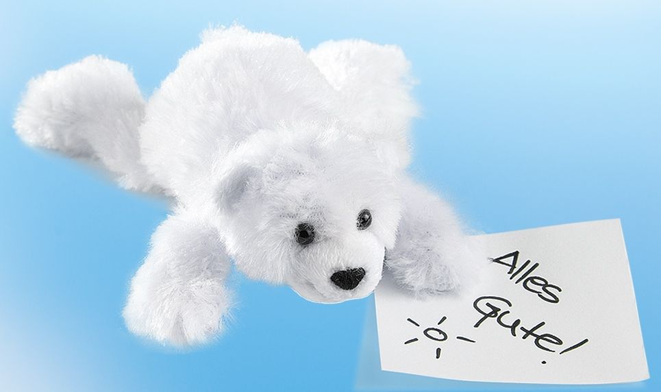 Schaffer-Magnetics Polar Bear Knut Cuddly