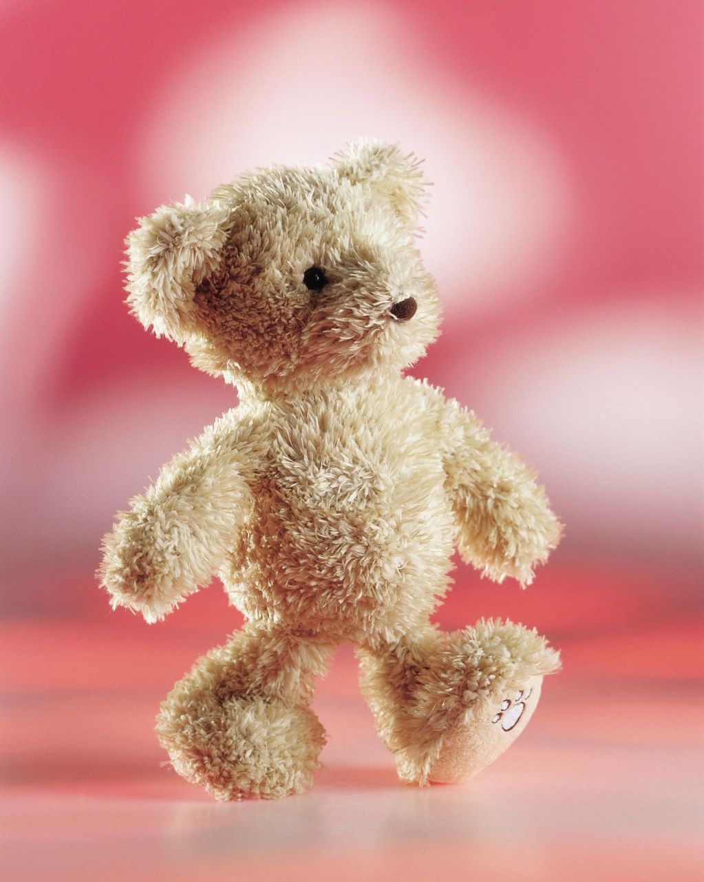 Schaffer plush toy Teddy Luca, 36 cm