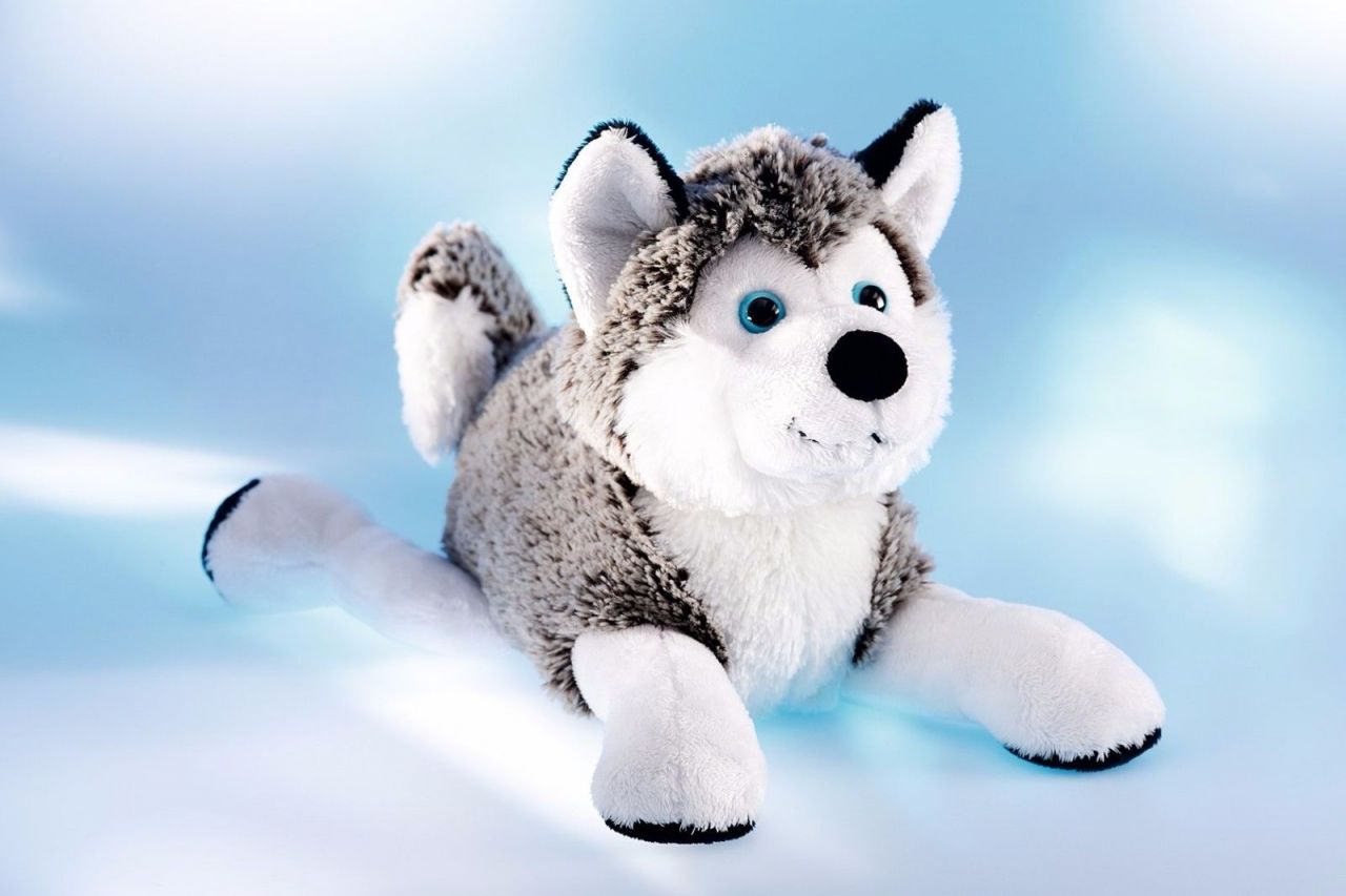 Schaffer-Plüschtier Polarhund Husky, 18 cm