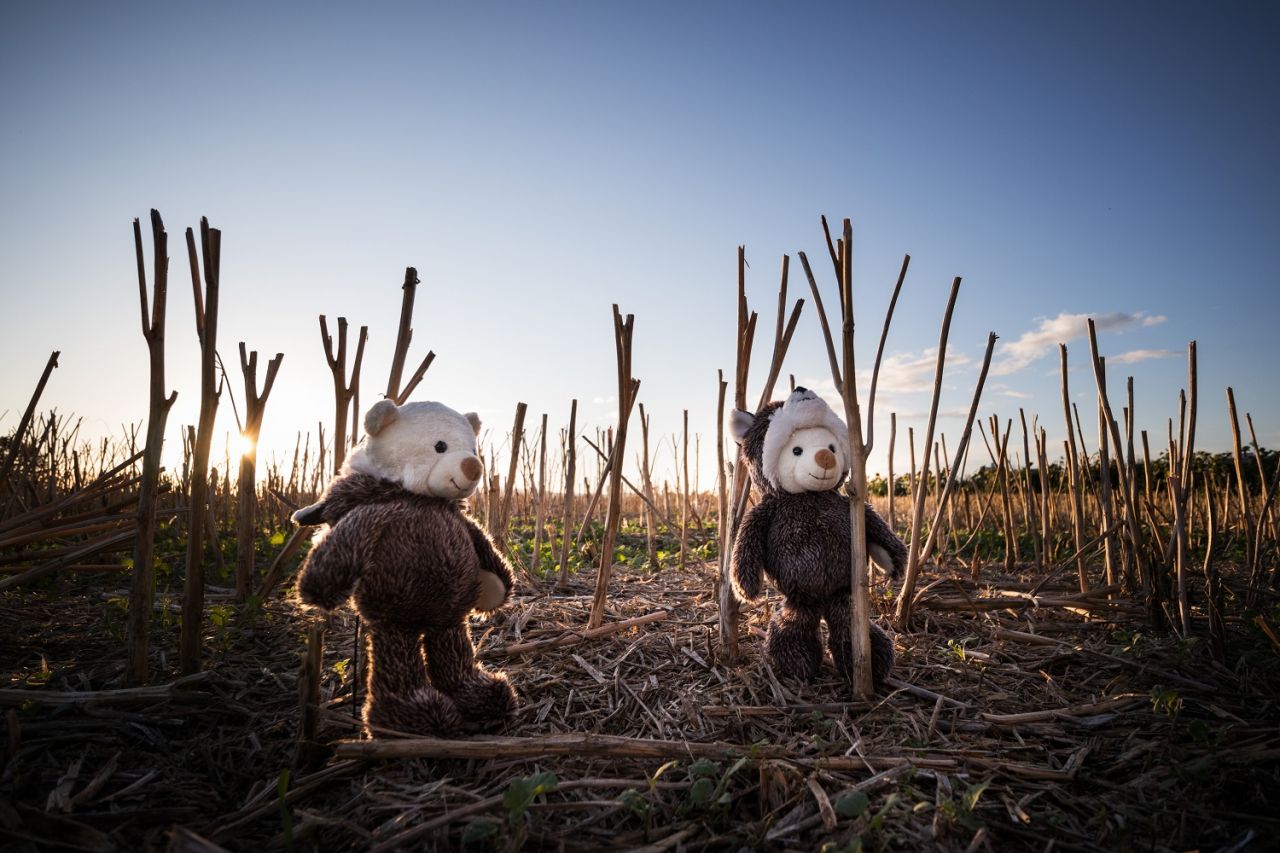 Schaffer Hoodybär Husky 27cm