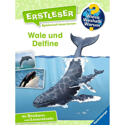 Ravensburger Why? What? Why? First Readers, Volume 3: Whales and Dolphins