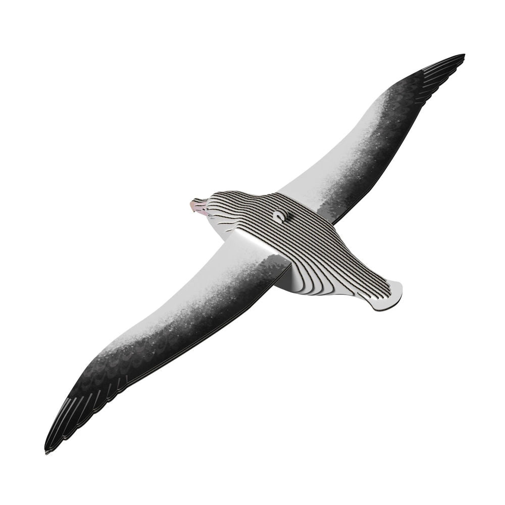 3D Bastelset Royal Albatross