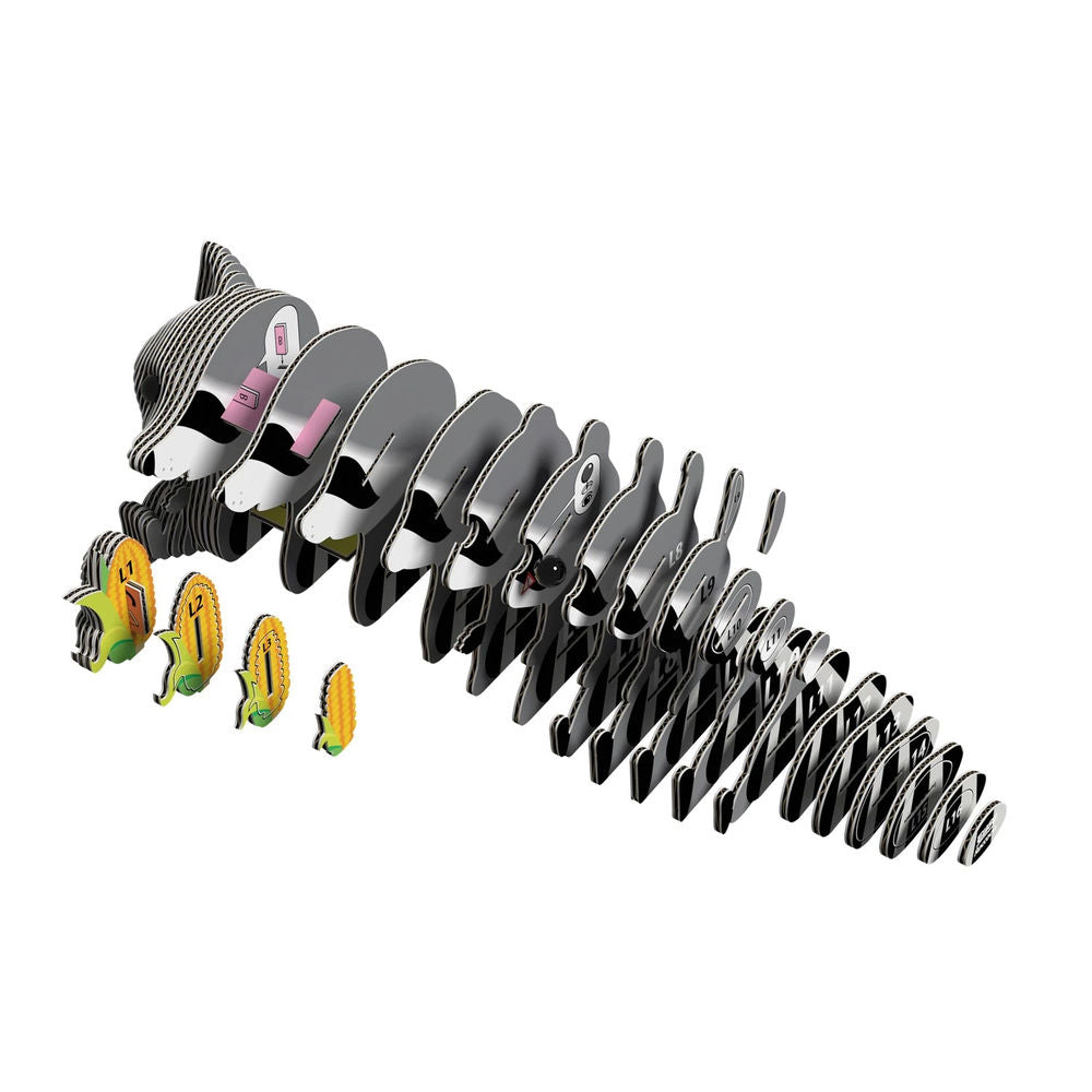 3D Bastelset Waschbär