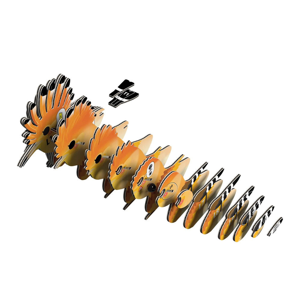3D Bastelset Wiedehopf