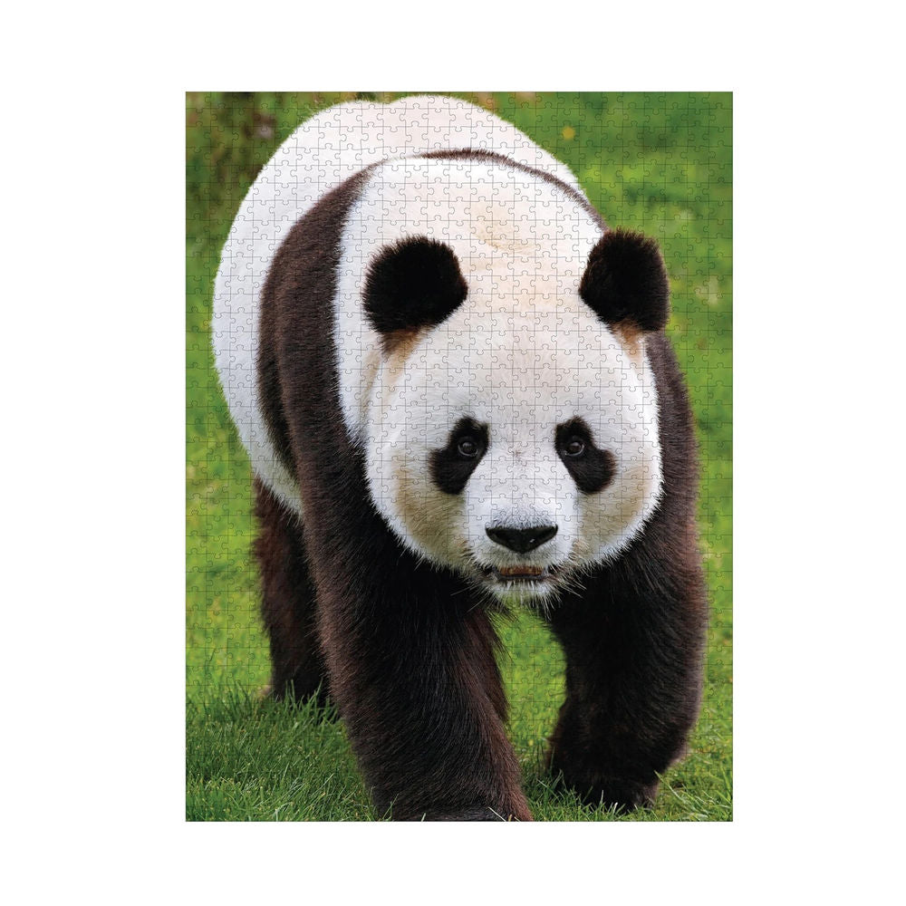 Ambassador Pandas 1000 Teile