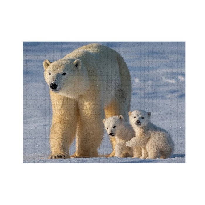 Ambassador Polar Bears 1000 pieces