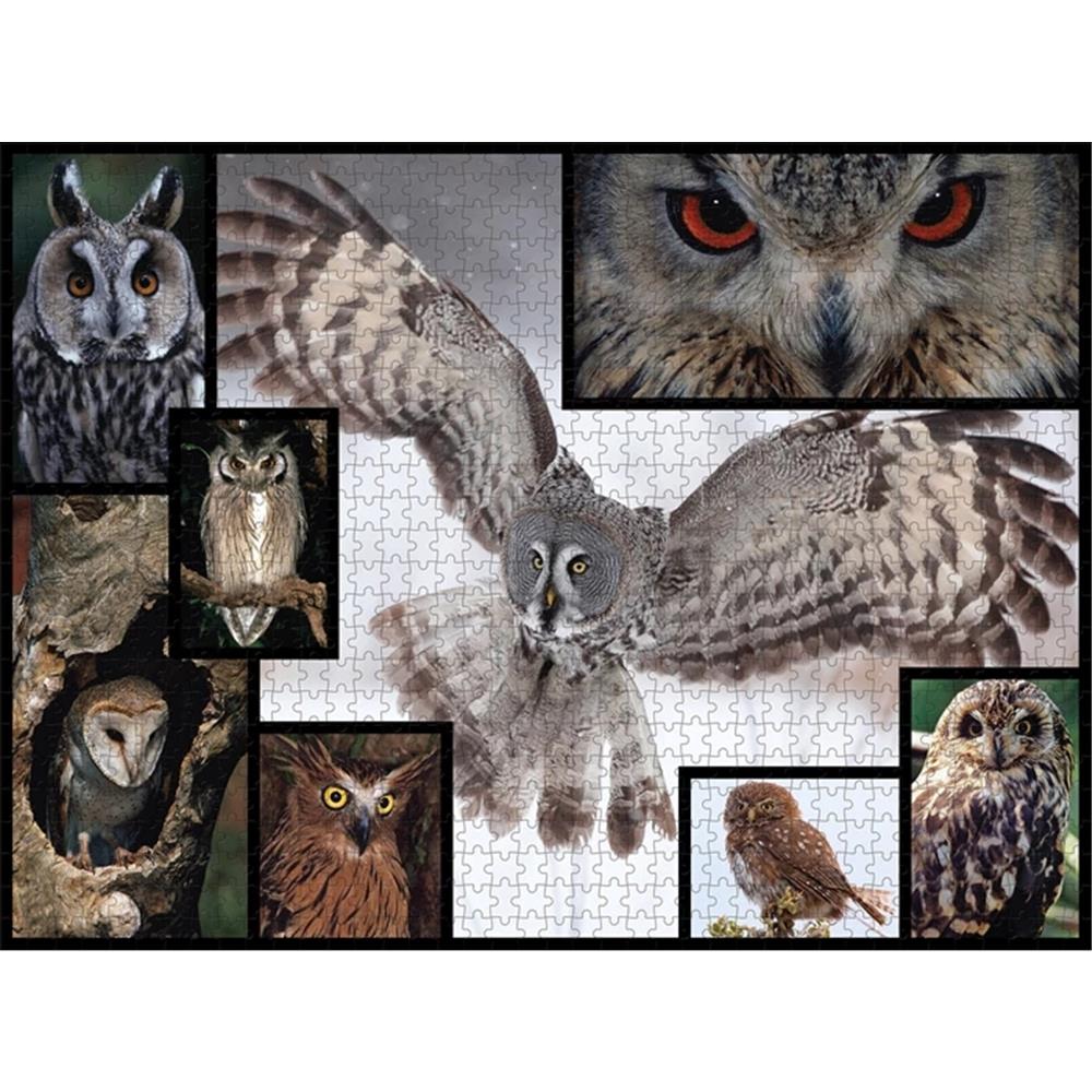 Ambassador Owls 1000 pieces