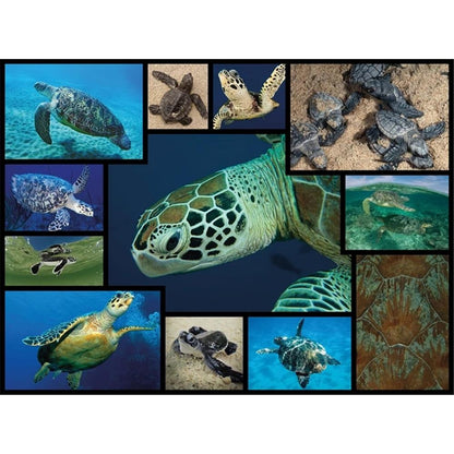 Ambassador Sea Turtles 1000 pieces