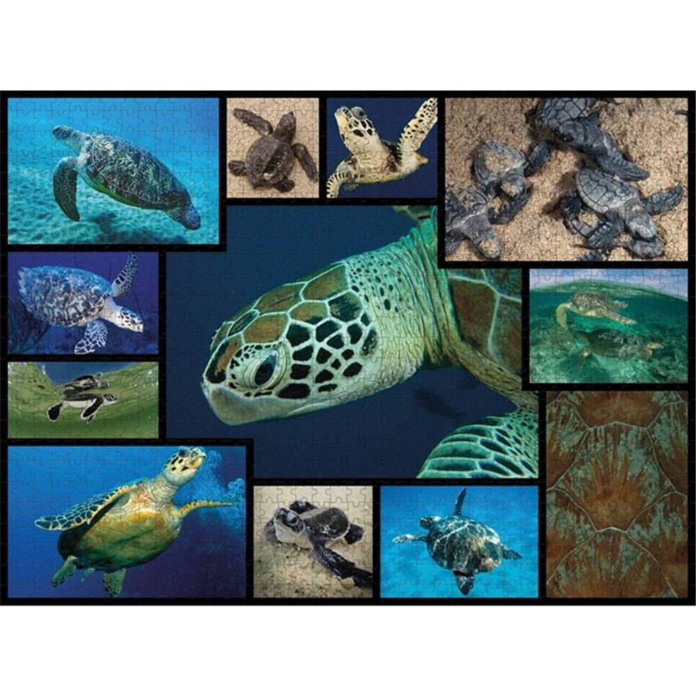 Ambassador Sea Turtles 1000 pieces