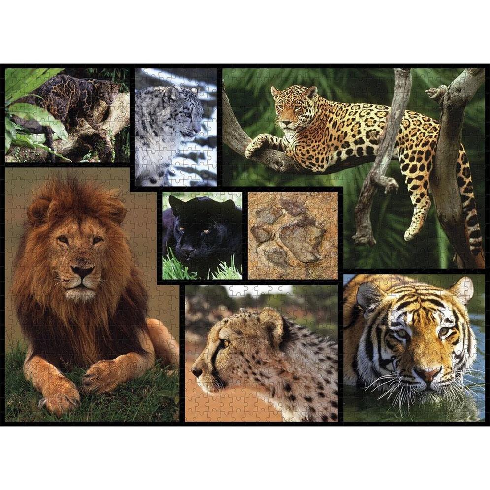 Ambassador Wildkatzen 1000 Teile