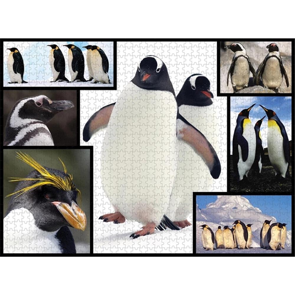 Ambassador Penguins 1000 pieces