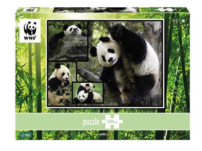 Ambassador Pandas 1000 pieces