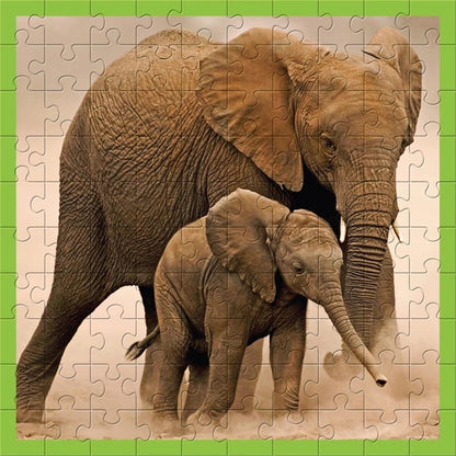 Ambassador Elephants 100 pieces