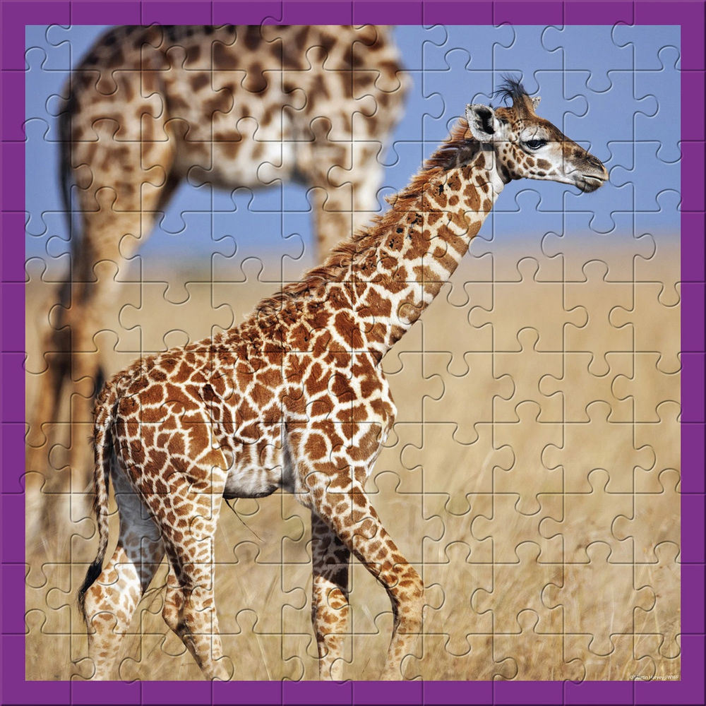 Ambassador Giraffen 100 Teile