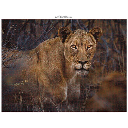 Ambassadeur Wild Animals Eye Contact 3x1000 pièces (Donal Boyd)