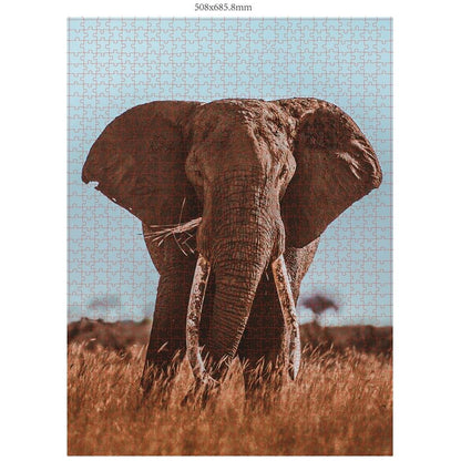 Ambassadeur Éléphant d'Afrique 1000 pièces (Donal Boyd)