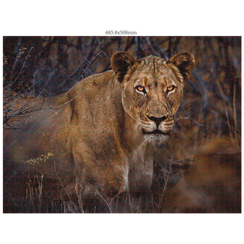 Ambassador Wildtiere Blickkontakt 3x1000 Teile (Donal Boyd)