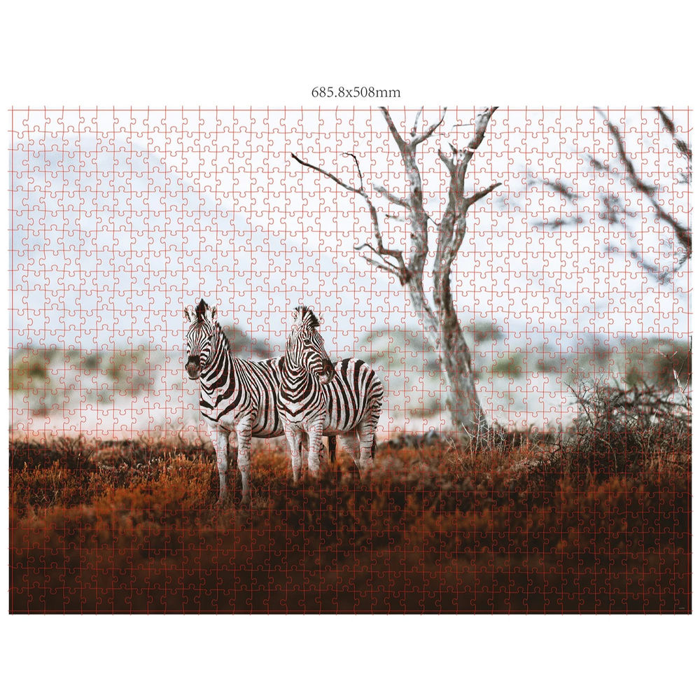Ambassador Wildtiere Afrika 3x1000 Teile (Donal Boyd)